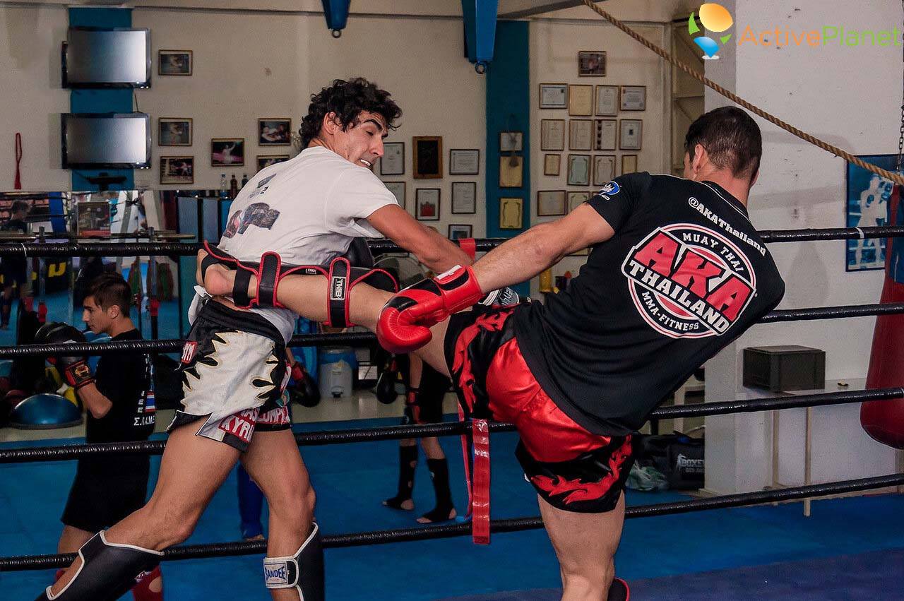 Thai boxing gathering in Cyprus